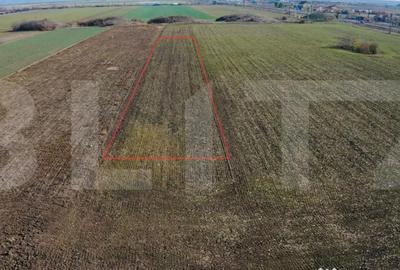 Teren în Vladimirescu - 2