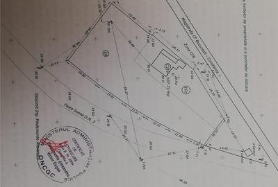 Casă cu Teren 2398 Mp în Pantelimon - 2