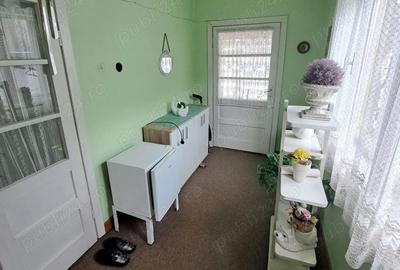 Casă cu 3 camere cu Teren 870 Mp în Văliug - 13