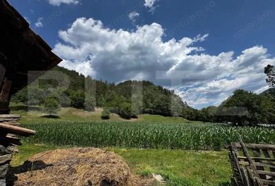 Casa cu 6000 mp teren, Poiana Ampoiului - Metes - 9