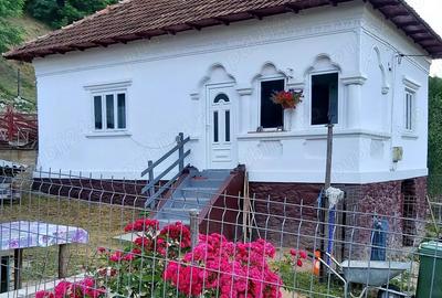 Vand casa la munte ! - 1