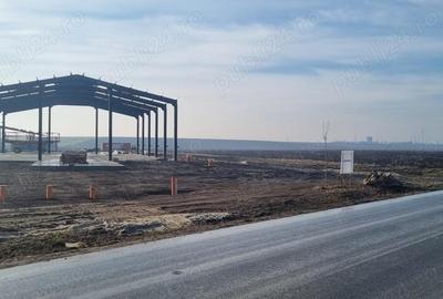 Teren de 10000 mp, în Bălăceanca