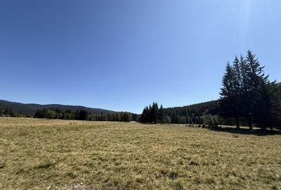 SUPER OCAZIE - Teren intravilan, COMANDAU-PUZ case de vac... - 6