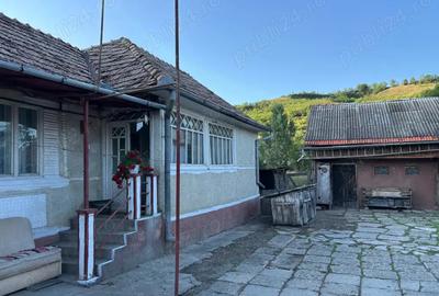 Casa de vanzare in comuna Lechinta - 1