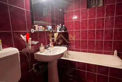 Apartament Baile Herculane 3 camere Apartament Baile Herculane 3 camere - 12