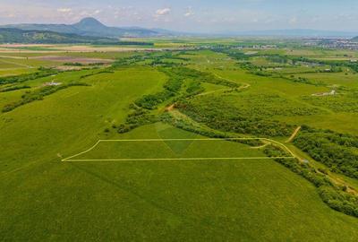 Teren 10,800mp Rasnov / Drumul DN73 - 9