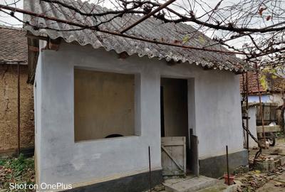 Casă cu 3 camere în Băile 1 Mai - 5