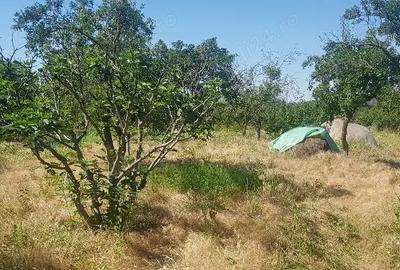 Casă cu 5 camere în Lunca - 7