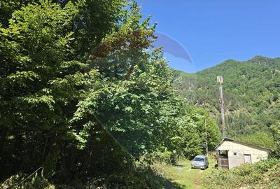 Teren de 4000 mp, în Păscoaia - 27