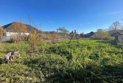 Spațiu comercial, în Mușătești - 2