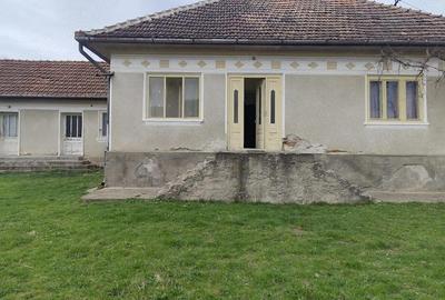 Casă cu Teren 4500 Mp în Ștei - 3