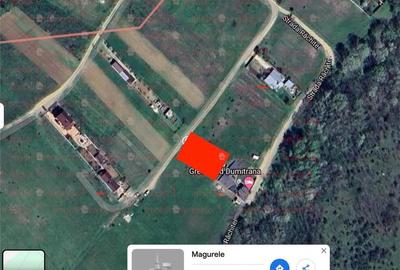 Vanzare teren localitatea Magurele Vanzare teren localitatea Magurele - 3