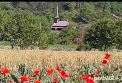 Teren de 5000 mp, în Racâș - 1