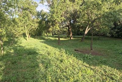 Teren de 5524 mp, în Poiana - 4