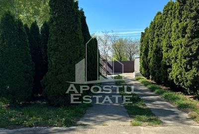 Casă individuală cu 5 camere cu Canalizare în Diniaș - 2