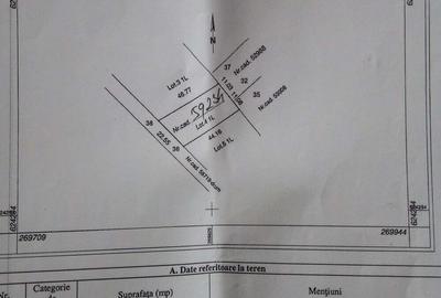 Teren de 1000 mp, în Săldăbagiu de Munte - 1
