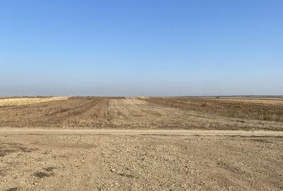 Spațiu comercial, în Malu Mare - 4