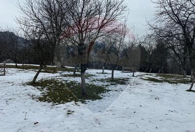 Teren Zarnesti /Bran/Predelut6 Strada Pe tarina Teren Zarnesti /Bran/Predelut6 Strada Pe tarina - 6