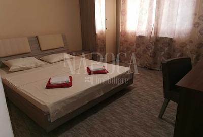 Casă individuală cu 16 camere cu Teren 3000 Mp în Băile Felix - 4