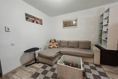 Apartament cu 2 camere semidecomandat în Berceni - 12