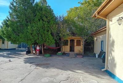 Proprietate specială, 831 mp în Giulești - 11
