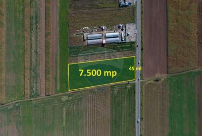 Teren 7,500mp Tarlungeni / Strada Zizinului - 7