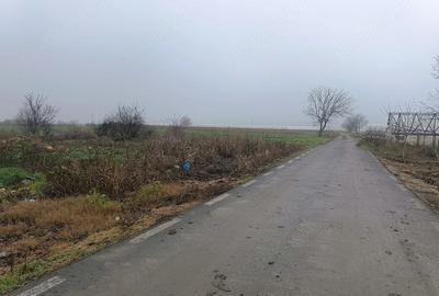 Teren de 2007 mp, în Câmpurelu - 3