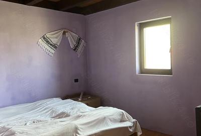 Casă cu 2 camere cu Teren 7500 Mp în Sulighete - 8