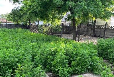 Casă individuală cu 3 camere cu Teren 1520 Mp în Zorleni - 8