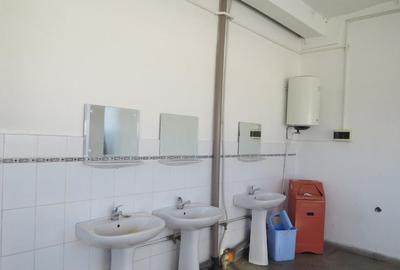 Cladire industriala in Curtea de Arges, 700000 EURO - 5