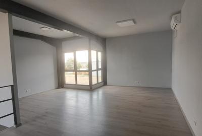 Domnesti - Centura Bucuresti, hala 595 mp, constructie noua. - 10