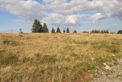 Teren, 1000 mp, intravilan, utilitati, zona Beli? - 3