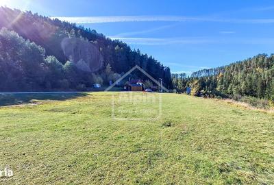 Spațiu comercial, în Poiana Angelescu - 10