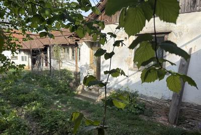 Casă cu 3 camere cu Teren 2400 Mp în Brădet