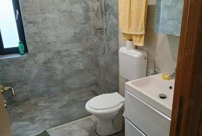 Vand VILA in comuna Berceni judetul ILFOV - 8