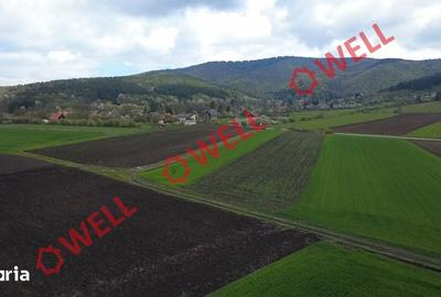 Teren de 5000 mp, în Ozun - 6