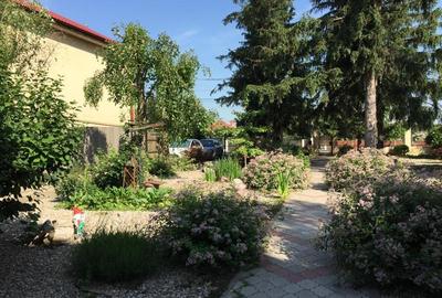 Casă individuală cu 7 camere cu Canalizare în Clinceni - 2