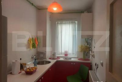 Apartament cu 2 camere semidecomandat, mobilat în Centrul Civic - 9