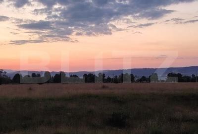 Teren de 7000 mp, în Dorobanți