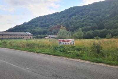 Teren agricol extravilan de 2500 mp, în Glăjărie - 5