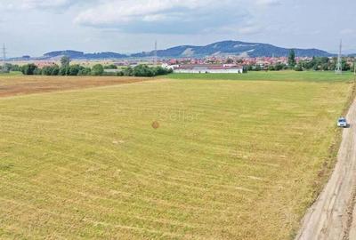 Teren Destinatie Industriala Teren Destinatie Industriala - 2