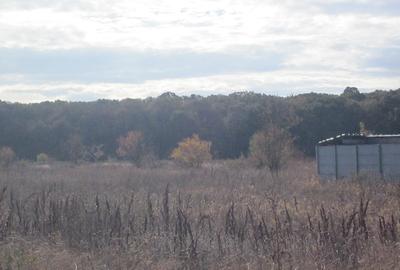 Teren Construcții intravilan de 430 mp, în Domnești - 9