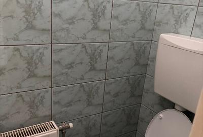 De inchiriat spatiu comercial Marasti - 2