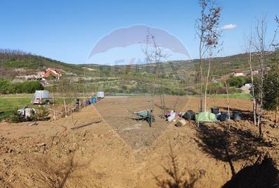 Teren Construcții intravilan de 1200 mp, în Săldăbagiu de Munte - 12