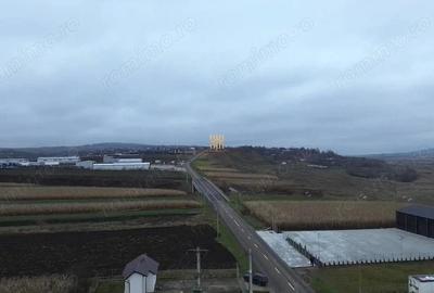 Teren de 14066 mp, în Mihoveni - 1