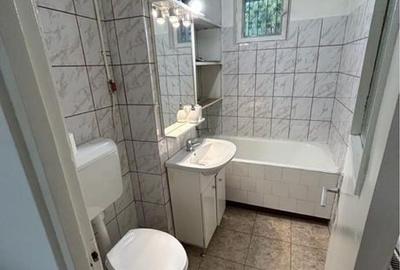 Apartament 2 camere 50 mp, pet friendly, Grivitei - 3