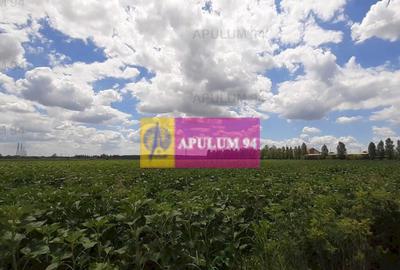 Teren de 715 mp, în Snagov - 20