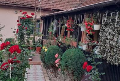 Casă în Șerel - 3