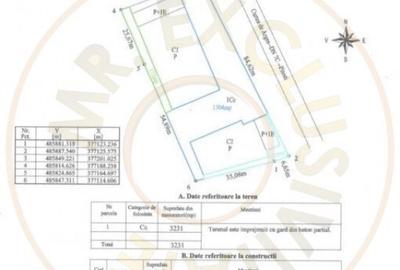 Inchiriere hala noua zona Bascov la DN 7C - 13