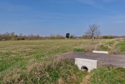 Spațiu comercial, în Blajova - 5